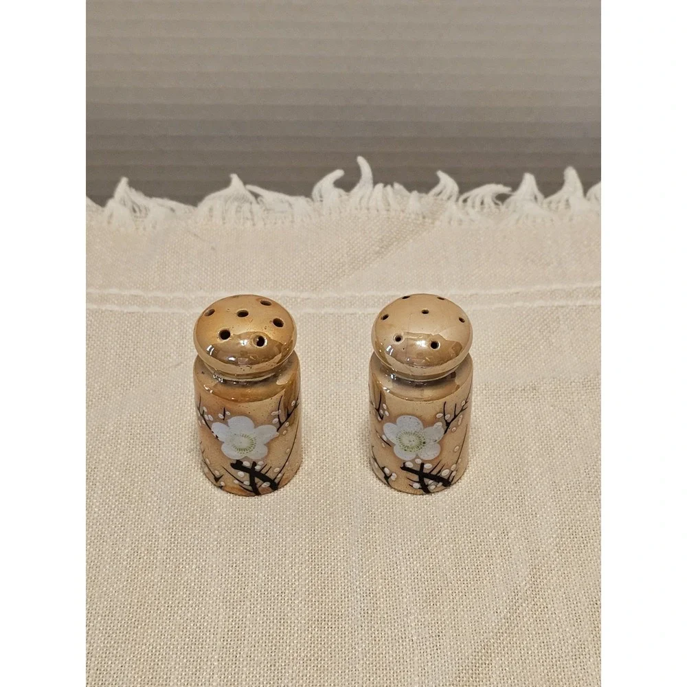 Vintage Orange Luster Hand-Painted Floral Salt And Pepper Shakers Japan